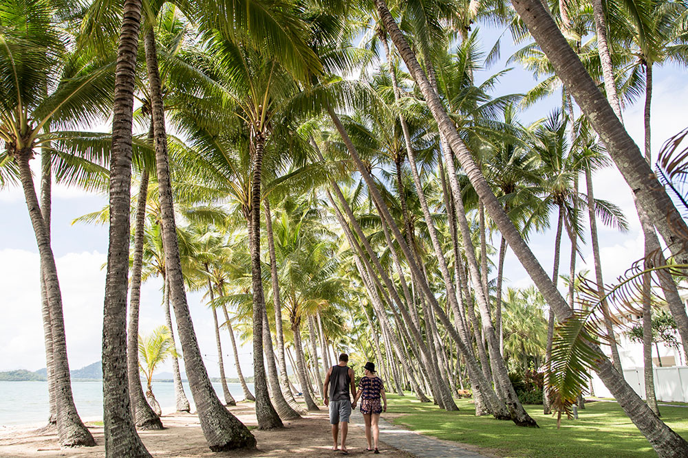 The palm-fringed Palm Cove esplanade.