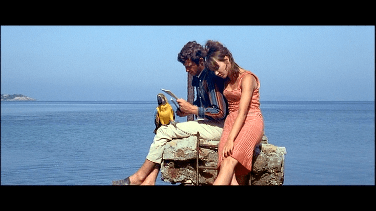 pierrot le fou style inspiration